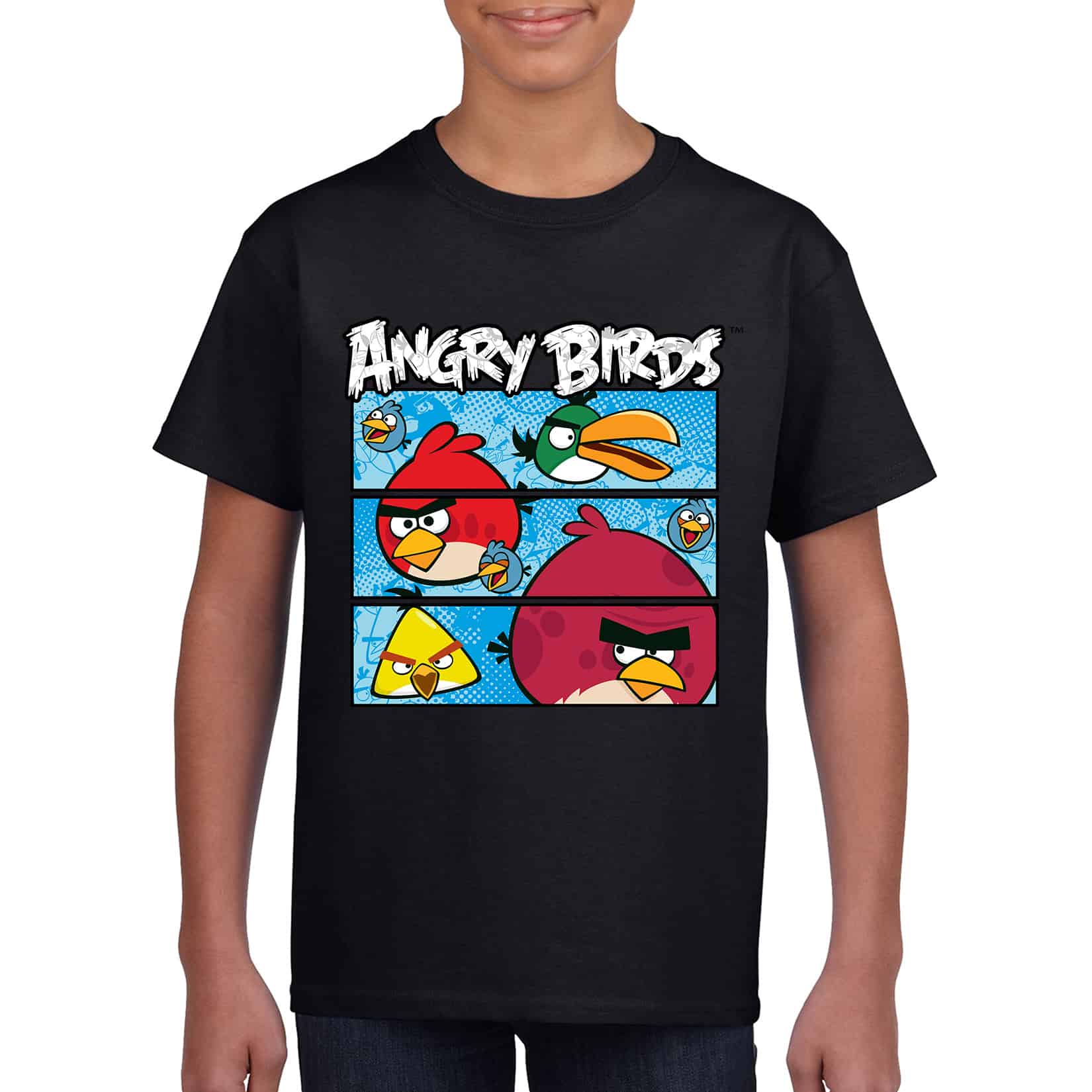 Angry Birds Logo Youth T Shirt